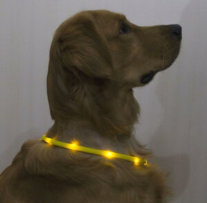 Orchidtent ̈S΍ LED 铹̈S FocO  ړx_ LL U o ̖h~ (CG[)