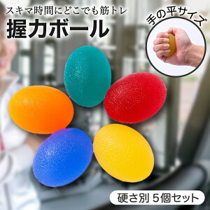 �y���r���[�v���[���g�z���̓{�[�� ���܂��^ �g���[�j���O �n���h�O���b�v ���� �؃g���O�b�Y 5����