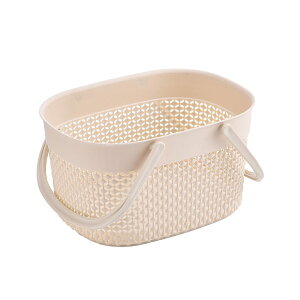 oXoXPbg p  [{bNX  ؂肩 C[ oXpi[ [ vX`bN 1 (uE)