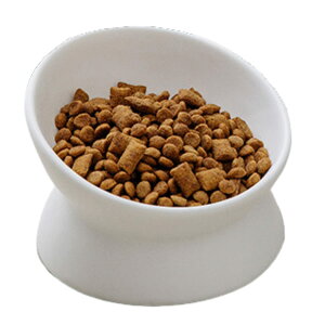 Z~bN{E ybg{E X΂ a aM t[h{E ybg  L Lp p LM   zCgiWhitej