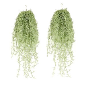 tFCNO[ Ǌ| 艺 GAvc ϗtA  tFCN XpjbVX (EXlICfX  x2)