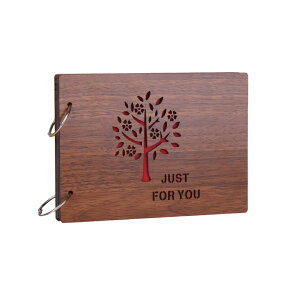 Ao  LO vo tHgAo fR[V ʐ^ ~j Lbg ؐ ()