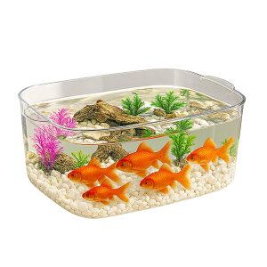    _J  e ANAE ϗtA CeA e {E vX`bN  (:40×27×14cm)