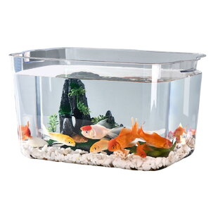    _J  e ANAE ϗtA CeA e {E vX`bN  (:28×19×11cm)