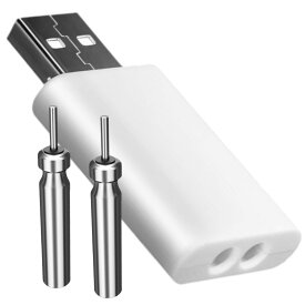 【 レビュープレゼント】CR425 【充電バッテリー2本+充電器】 リチウム電池 2本 充電電池 バッテリー USB充電 電気ウキ 竿先ライト 夜釣り フロート グロースティック 浮き フィッシング ピン型
