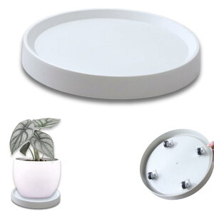 ϗtA  LX^[ Aؔ 󂯎M u v^[X^h ԑ 360°] K[fjO (CgO[, a24.5cm)