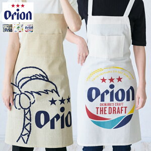 IIr[ obNNXGv II orion Gv  킢  JtFGv Mtg T  yY čՂ II Ki