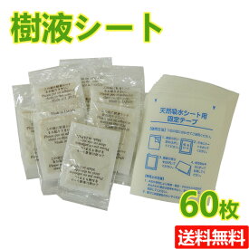 【送料無料】【日本製】足裏シート/樹液シート60枚入り　むくみ対策で翌朝すっきり♪