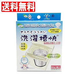 洗濯槽快ネット付30g×2個入りパック洗濯槽用洗剤カビ取り消臭除菌ホタテほたてカルシウム洗濯物テイクネット送料無料