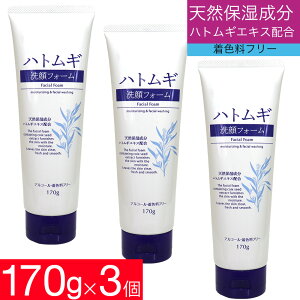 tH[ ngM tH[ 170g×3 ngMGLX ێ VRێ 