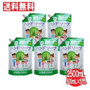 nh\[v pnh\[vlߑւp 5Zbg e 2500mLi500mL×5j E  ێ AGGLX { 