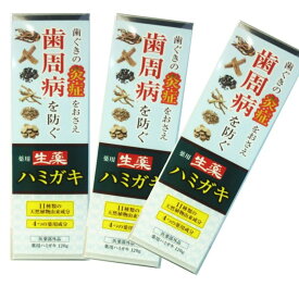 生薬 はみがき 薬用ハミガキ 120gx3本セット 医薬部外品