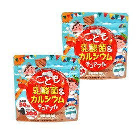 楽天市場 乳酸菌タブレット 子供の通販