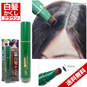 白髪かくし ヘアカラー 通販 価格比較 12ページ目 価格 Com