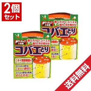 WgbvRoGƂe×2ZbgRoGnG{u^CvRoG펺p