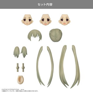 �A�]���@�w�J�X�^�������B�x�w�b�h�p�[�c�Z�b�g TYPE-C�@AZONE 1/12 �h�[��