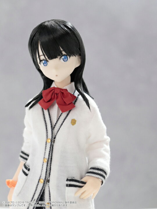 楽天市場】アゾン 1/6ピュアニーモキャラクターシリーズNo.116 『SSSS 
