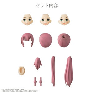 �A�]���@�w�J�X�^�������B�x�w�b�h�p�[�c�Z�b�g TYPE-A�@AZONE 1/12 �h�[��