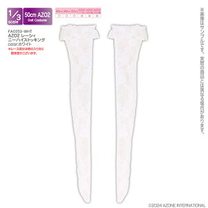 A]@AZO2 [VBj[nCXgbLO@ AZONE 1/3 h[p AEgtBbgACe