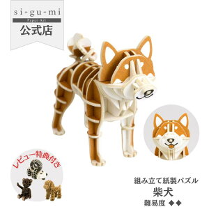 Paper Art si-gu-mi Č  y[p[Ntg ̃pY Mtg H v`v[g l v[g VO~ sigumi g y[p[A[g  ߋ av[g a q ̎q 