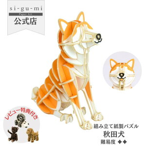 Paper Art si-gu-mi Hc  y[p[Ntg ̃pY Mtg H v`v[g l v[g VO~ sigumi g y[p[A[g  ߋ av[g a q ̎q