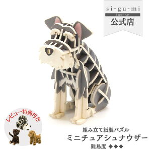 Paper Art si-gu-mi ~j`AViEU[  y[p[Ntg ̃pY Mtg H v`v[g l v[g VO~ sigumi g y[p[A[g  a ̎q pY m