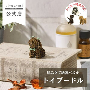 si-gu-mi gCv[h ȒP  pY ̃pY Mtg H v[g u 蕨  킢 Ft l` gCv[ v[h  ybg