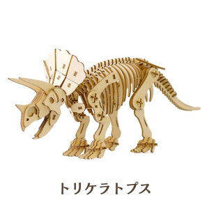 Wooden Art ki-gu-mi eBmTEX gPgvX XeSUEX Ҍ ؐ EbhpY ̃pY Mtg ċx H v[g ͌^ LO~@kigumi   i{ D 