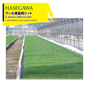 nZK v[c v[cpV[g 0.26mmx300cmx20m PI @ll