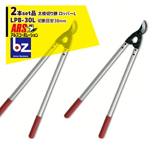 AXR[|[VbARS 2{ZbgiLPB-30L }؂ bp[Lb@ll
