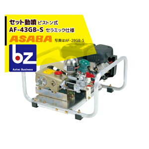 ���� asaba �Z�b�g���� �s�X�g���� AF-43GB-S �@�l�l����
