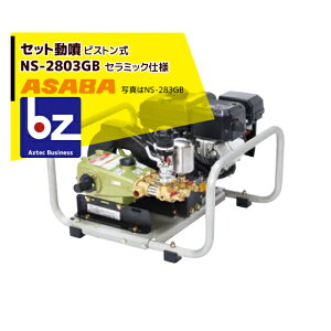 ���� asaba �Z�b�g���� �s�X�g���� NS-2803GB �Z���~�b�N �@�l�l����