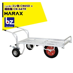 yX[p[SALEʌ艿iIznbNXbHARAX 4setiZbgiA~֎ R CN-65D + ⏕ցip[LOu[LtjCN-64TRb@ll