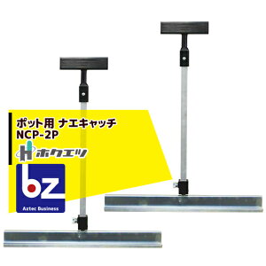 !!Gg[ōő100%|CgobN!! zNGc cړ iGLb`i|bgpj NCP-2P 2{Zbg @ll