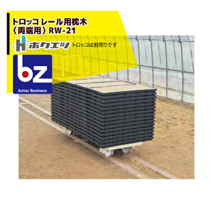 zNGc nEX gbR [p؁i[pj RW-21 @ll