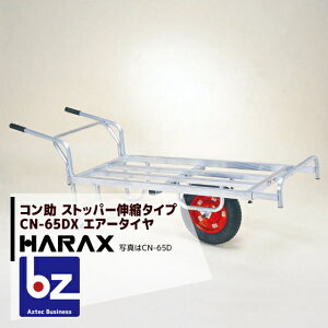 nbNXbHARAX 2setiA~^ R CN-65DX A~ `1֎ 20kgReip Xgbp[Lk^Cvb@ll