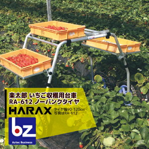 nbNX HARAX yY A~ np n _  RA-612 @ll