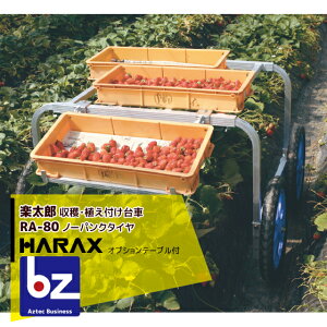 !!Gg[ōő100%|CgobN!! nbNXbHARAX 2setiA~ nEAtp yY RA-80 ύڗ80kg e[ub@ll