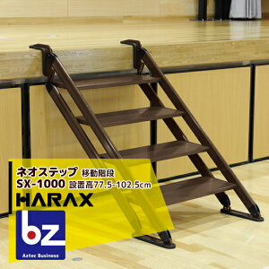yX[p[SALEʌ艿iIznbNXbHARAX 4setilIXebv SX-1000 A~ ړKib@ll