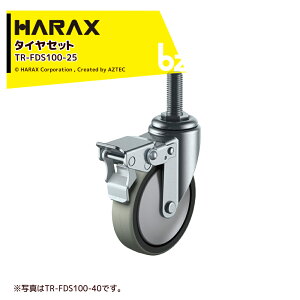 �n���b�N�X HARAX �^�C���Z�b�g �L���X�^�[�V���[�Y TR-FDS100-25 �ԗ֌a��100/��25mm �l�WM16x25 �@�l�l����