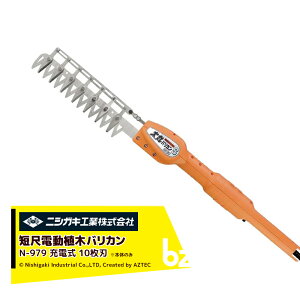 !!Gg[ōő100%|CgobN!! jVKL ۃoJS[d {̂̂ 10n ݕ330mm N-979 @ll