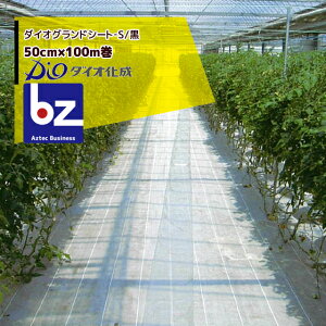 y11/1 ő|Cg6{ Gg[K{z_CI hV[g 50cm×100m _CIOhV[g]S/ Rۍܖ @ll