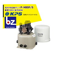 楽天市場】サンヨー ポンプの通販