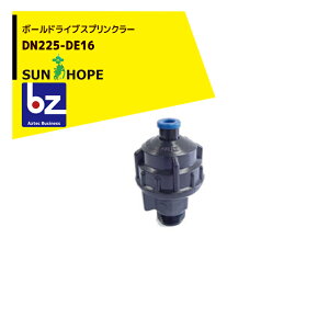 �y3/1���� �ő�|�C���g6�{ �G���g���[�K�{�z�T���z�[�v SUNHOPE �{�[���h���C�u�X�v�����N���[ DN225-DE16 �@�l�l����