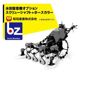 y11/1 ő|Cg6{ Gg[K{zaYƁbIvV aY c@IvVi XN[Vtg z[XJ[b@ll