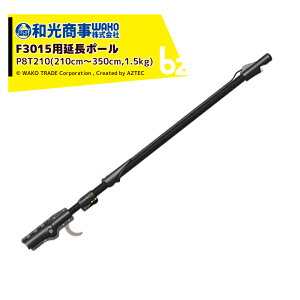 infaco Ct@R GNgN[v doT~ F3015p|[i2.1`3.5mjP8T210 @ll