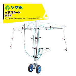 !!Gg[ōő100%|CgobN!! }z J[gWFb^? C`SJ[gD^iykpj191369