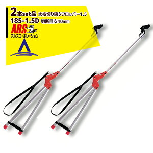 AXR[|[VbARS 2{Zbgi185-1.5D }؂^tbp[1.5