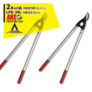 AXR[|[VbARS 2{ZbgiLPB-30L }؂ bp[L