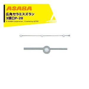 �ő�100%�|�C���g�o�b�N �m��2����1�I�����B���Ń`�����X�ő�5�{�I�v�G���g���[�I���� asaba �L�p�E���̓Z���~�^�C�v �L�p�Z���~�X�Y���� 3����P-20�@G1/4 450027920